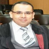 Mohamed El-Sherbiny El-Agroudi