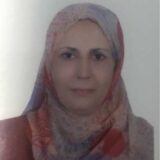 Najda Muhammad Al-Masry