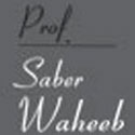 Saber Wahib