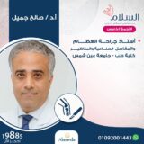 صالح جميل رافع