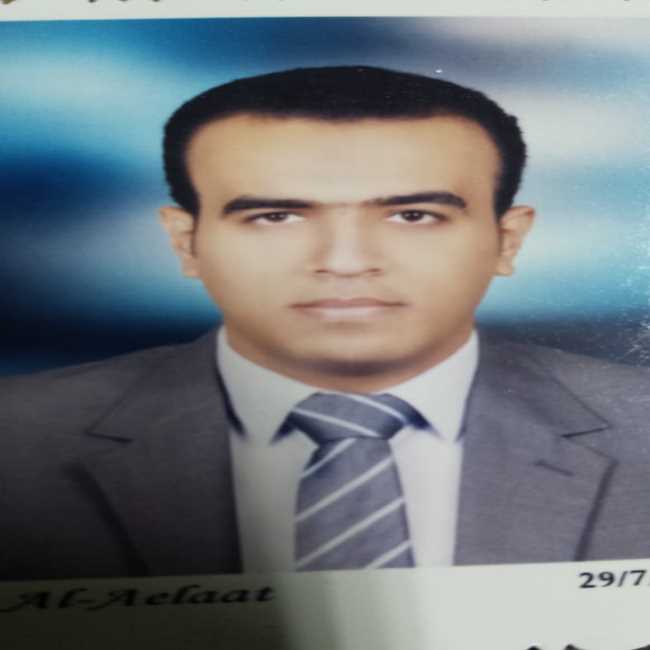 دكتور هشام السيد