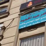 معامل عامر عبد الحميد