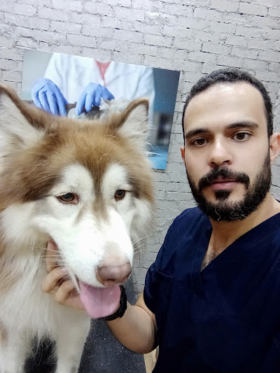 دكتور أنس الجزار - Doctor Anas El Gazzar
