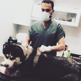 دكتور أنس الجزار