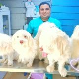 اسلام السقا