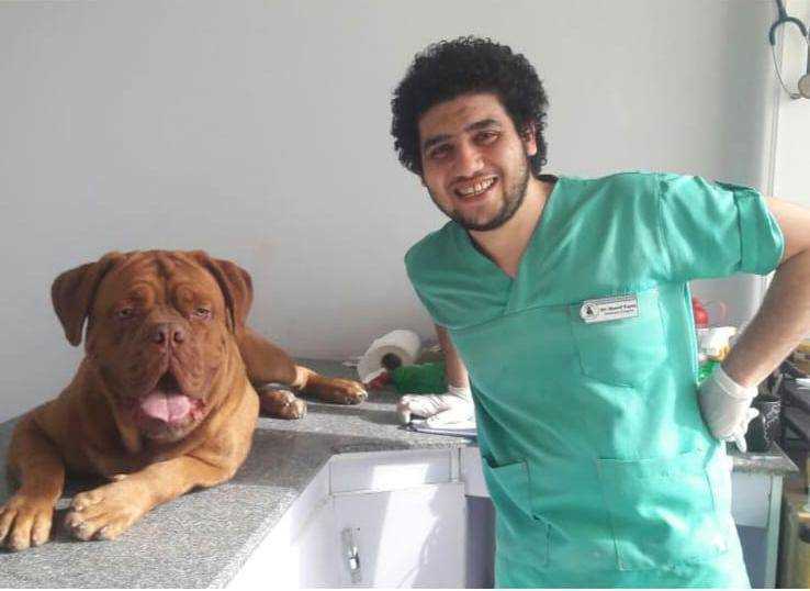 دكتور شريف فايز - Dr. Sherif Fayez