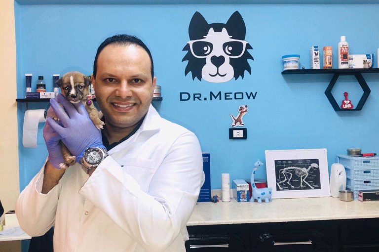 دكتور محمد كمال - Dr. Mohamed Kamal