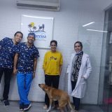 عيادة الجزيرة للحيوانات الأليفة El Gezira Pets Clinic
