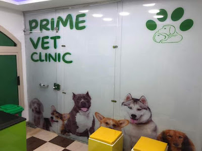 مركز عيادة برايم فيت البيطرية، التجمع Prime Vet Clinic 2