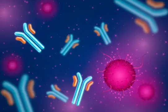 HBe Antigen 2